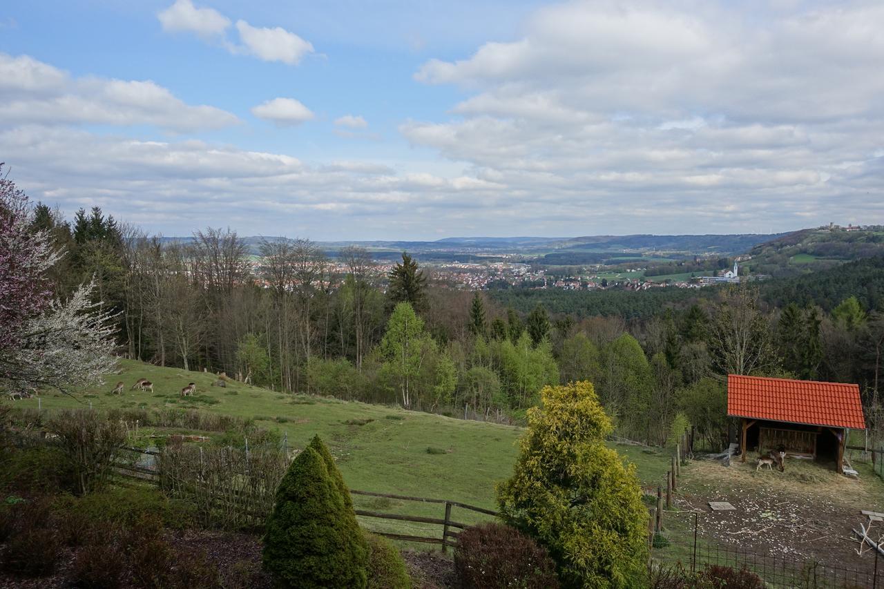 Hotel Gasthof Schonblick Neumarkt in der Oberpfalz Exteriér fotografie